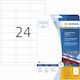 Herma 600 Self-Adhesive Rectangular A4 Labels 66x33.8mm