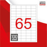 Typotrust 6500 Αυτοκόλλητες Ετικέτες Α4 Ορθογώνιες 38.1x21.2mm