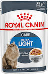 Royal Canin Ultra Light Hrana umeda pentru pisici adulte in Pungă cu Pui in gelatina Jelee 85gr 1buc