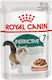 Royal Canin Instinctive 7+ Nassfutter für Erwachsene Katzen in Beutel mit Geflügel 85gr