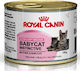 Royal Canin Mother & BabyCat Instinctive Υγρή Τροφή για Ανήλικη Γάτα σε Κονσέρβα 195gr