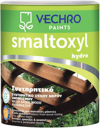 Vechro Smaltoxyl Hydro Wasser Νο10 Farblos Matt...