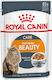 Royal Canin Intense Beauty Nasses Katzenfutter für Katze in Beutel 85gr