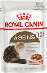 Royal Canin Ageing 12+ Wet Food for Senior Cat in Pouch 85gr 2610010