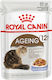 Royal Canin Ageing 12+ Wet Food for Senior Cats...