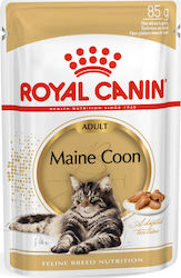 Royal Canin Maine Coon 85gr