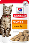 Hill's Science Plan Adult Wet Food for Adult Cats for Skin & Hair Care In Pouch with Chicken 1pc 85gr