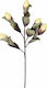 Espiel Artificial Decorative Branch Beige 82cm 1pcs