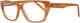 Dsquared2 Plastic Eyeglass Frame Butterfly Brown DQ5063 039