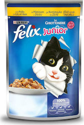 Felix Υγρή Τροφή 100gr