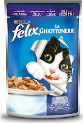 Felix Υγρή Τροφή 100gr