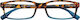 Zippo Women's Reading Glasses +3.00 Multicolore...