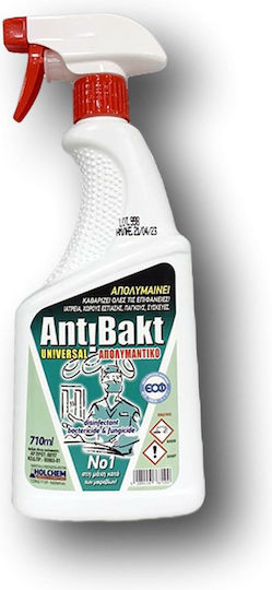 Holchem Καθαριστικό Spray Γενικής Χρήσης με Απολυμαντική Δράση 710ml