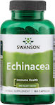 Swanson Echinacea 400mg 180 κάψουλες