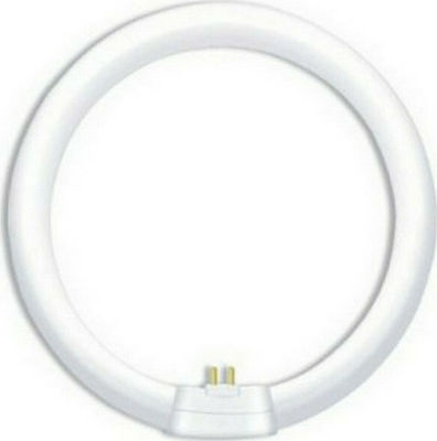 Aca Leuchtstofflampe mit Form T9 32W