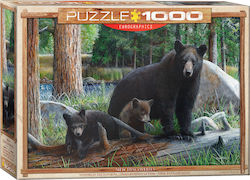 Puzzle New Discoveries 2D 1000 Κομμάτια