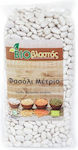 Βιοβλαστός Beans Μέτρια Organic 500gr