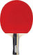 Spokey Winner Ρακέτα Ping Pong για Προχωρημένου...