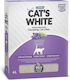 Cat's White Box Lavender Bentonit Katzenstreu mit Duft Lavendel 6Es