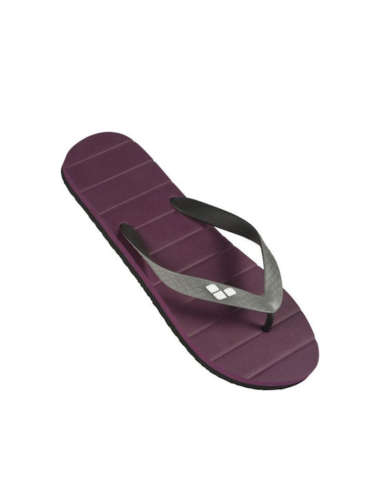 Arena Eddy Ανδρικά Flip Flops Μωβ
