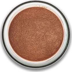 Stargazer Eyedust Fard De Pleoape Pulbere Cu Cu...