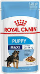 Royal Canin Maxi Υγρή Τροφή για Κουτάβι με Κρέας σε Φακελάκι 140γρ.