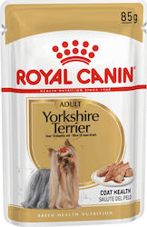Royal Canin Terrier 85gr Royal Canin Terrier 85gr