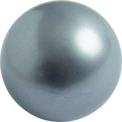 Reinhart 97003 Rhythmische Gymnastik Ball mit Durchmesser 19cm Silber