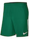 Nike League Knit II Men's Athletic Shorts Dri-Fit Green