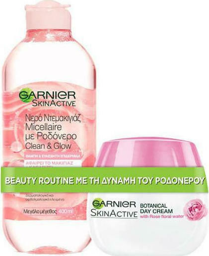 Garnier Day Cream With Rosewater & Micellaire Skin Care Set for Moisturizing