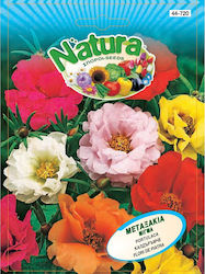 Natura Seeds