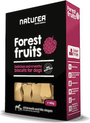 Naturea Forest Fruits Μπισκότο Σκύλου χωρίς Σιτηρά με Φρούτα 140gr