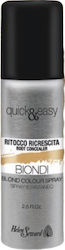 Helen Seward Root Concealer