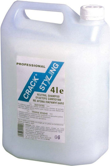 Dafnis Crack Styling Shampoos für Alle Haartypen 4000ml