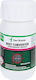 Bostik Den Braven Rust Converter Σταθεροποιητικό Σκουριάς 200ml 00405
