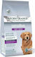Arden Grange Sensitive Light/Senior 2kg Dry Food Grain-Free for Senior Dogs with Potatoes and Fish