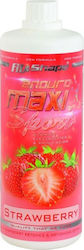 Fit & Shape MaxiSport Endurance 1:25