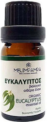 ΜελιΜπαμπά Organic Essential Oil Eucalyptus 10ml