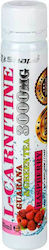 Fit & Shape L-Carnitine 3000mg με Γεύση Raspberry 25ml Fit & Shape L-Carnitine 3000mg με Γεύση Raspberry 25ml