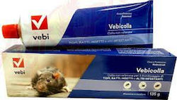Gemma Vebicolla Κόλλα 15856 Gemma Vebicolla Κόλλα 15856