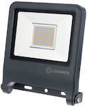 Ledvance Endura Flood DG Waterproof LED Floodlight 50W Natural White 4000K IP65