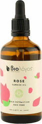 Βιολόγος Rose Oil Cold Depression 100ml