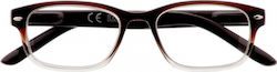 Zippo Reading Glasses +3.00 in Brown color 31Z-B1-BRO300