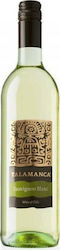Talamanca Λευκό Ξηρό 750ml Talamanca Λευκό Ξηρό 750ml