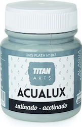 Titan Acualux Satin Vopsea acrilică Gri pentru ...