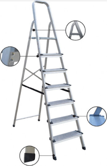 Profal Ladder Aluminum with 2+1 Steps 126pcs