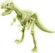 4M Παιχνίδι Κατασκευών Πλαστικό T Rex Skeleton για Παιδιά 5+ Ετών