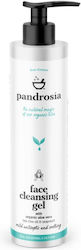Pandrosia Gel Facial Cleanser 250ml