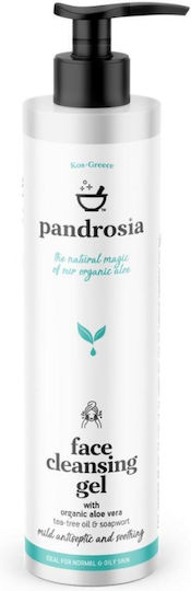 Pandrosia Facial Cleansing Gel with Antioxidant & Anti-aging Action 250ml