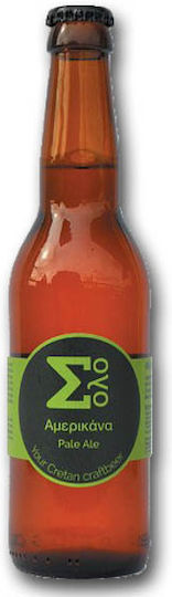 Solo Amerikaner Amerikanisches Pale Ale Flasche 1x330ml